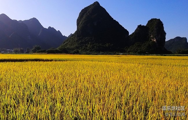 [食糧]粒粒皆辛苦