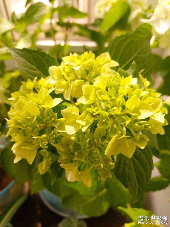 《每周星鮮事》 第105期:520勇敢表達(dá)愛(ài)，心里好禮等你抽取