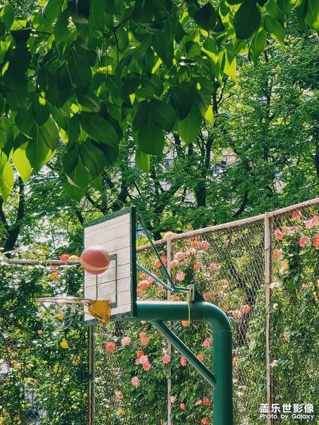 《每周星鮮事》 第105期:520勇敢表達(dá)愛(ài)，心里好禮等你抽取