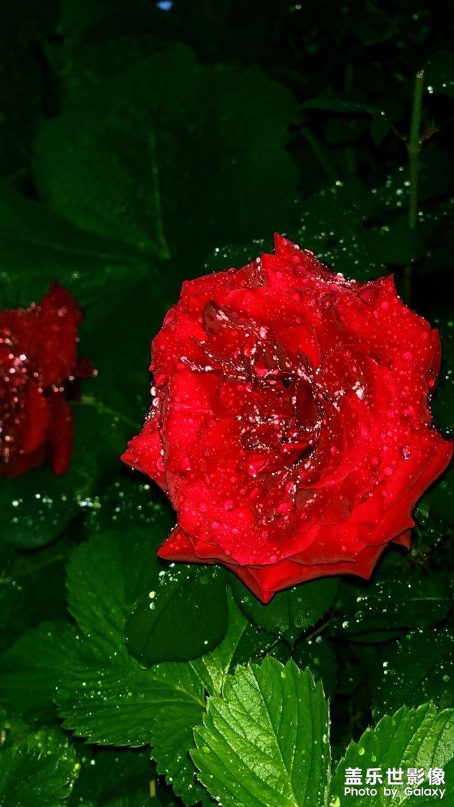 《每周星鮮事》 第105期:520勇敢表達(dá)愛(ài)，心里好禮等你抽取