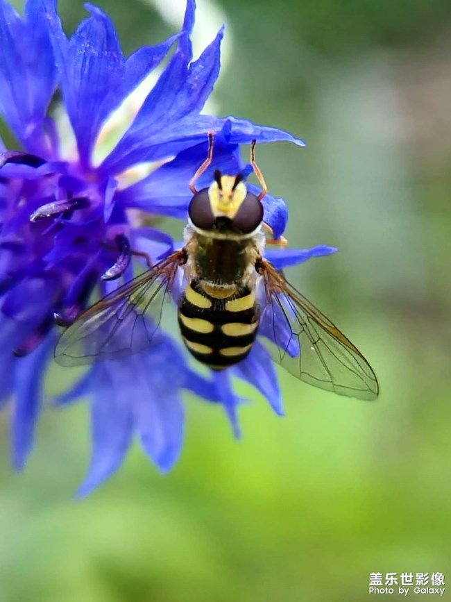 《每周星鮮事》 第105期:520勇敢表達(dá)愛(ài)，心里好禮等你抽取