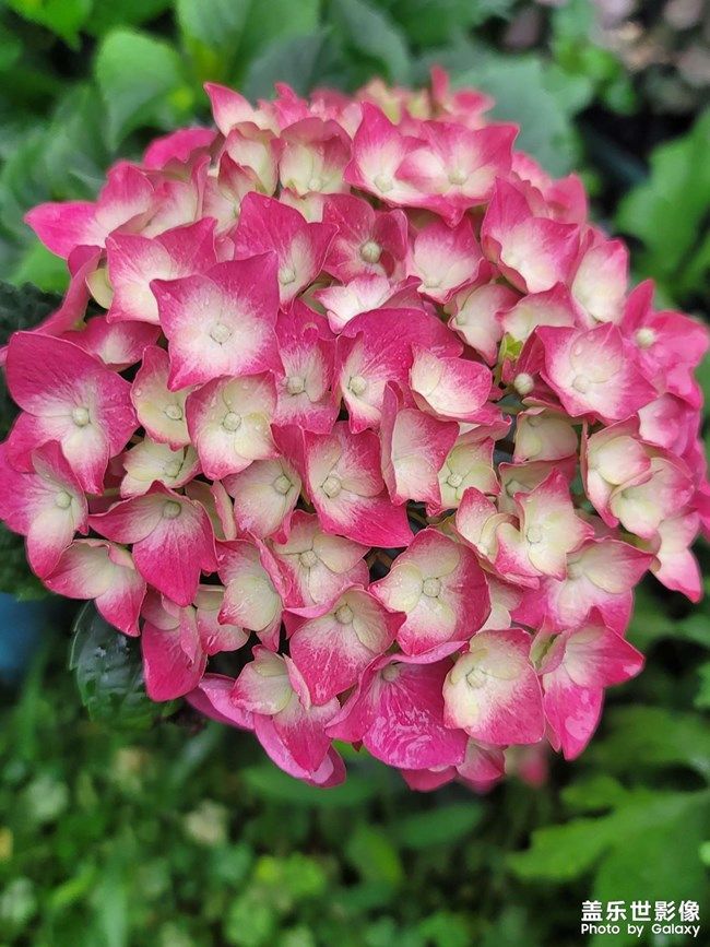 《每周星鮮事》 第105期:520勇敢表達(dá)愛(ài)，心里好禮等你抽取