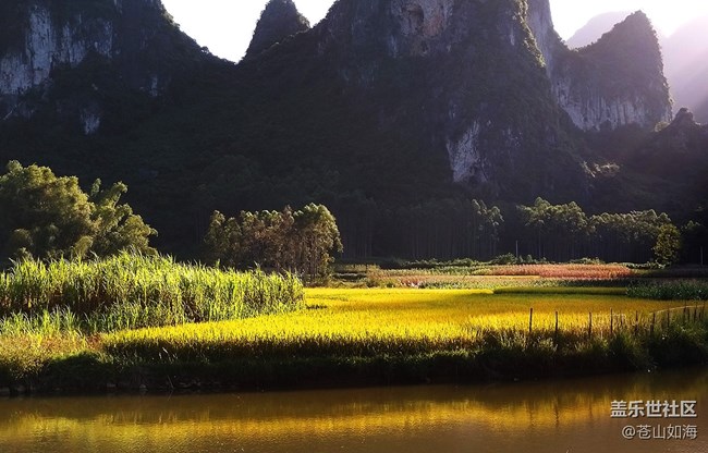 [食糧]粒粒皆辛苦