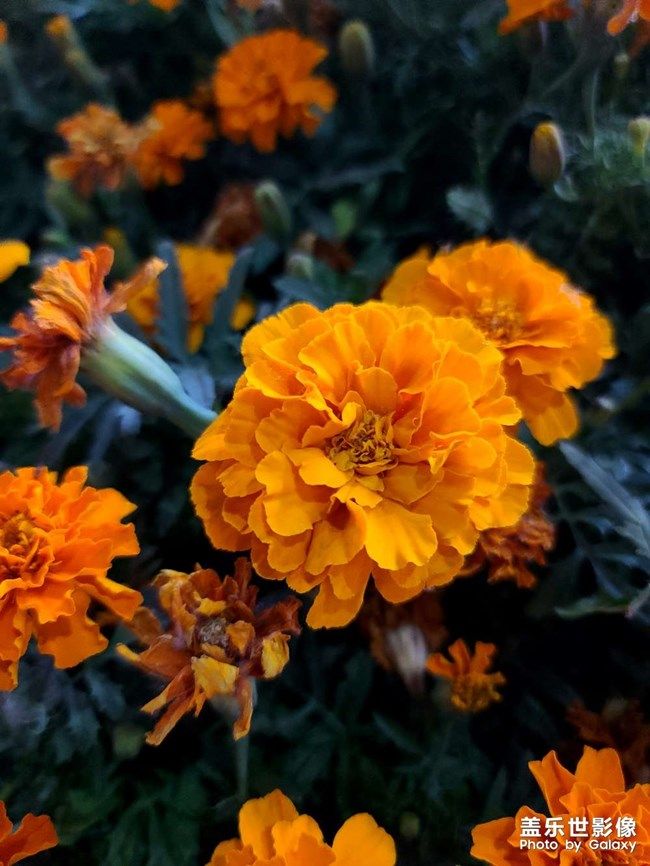 《每周星鮮事》 第105期:520勇敢表達(dá)愛(ài)，心里好禮等你抽取