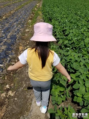 【碎片日?！?和小乖乖的多彩生活