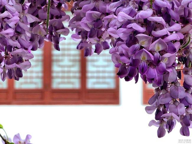 《每周星鮮事》 第105期:520勇敢表達(dá)愛(ài)，心里好禮等你抽取