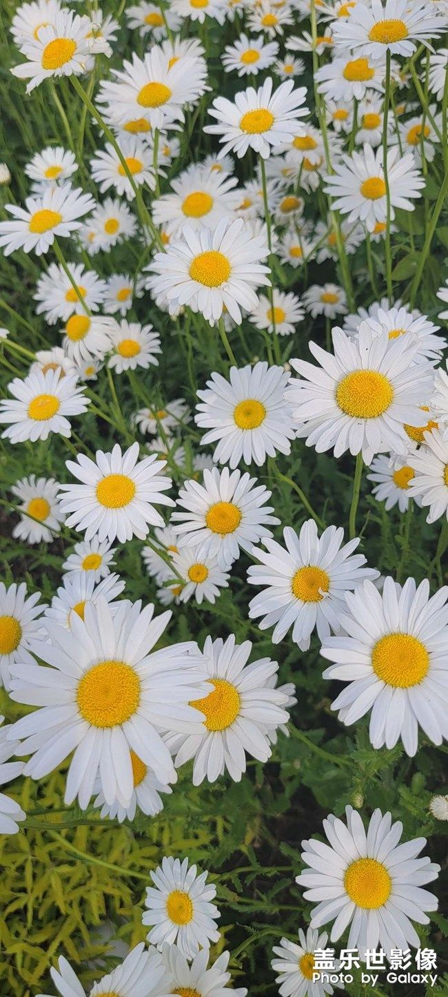 《每周星鮮事》 第105期:520勇敢表達(dá)愛(ài)，心里好禮等你抽取