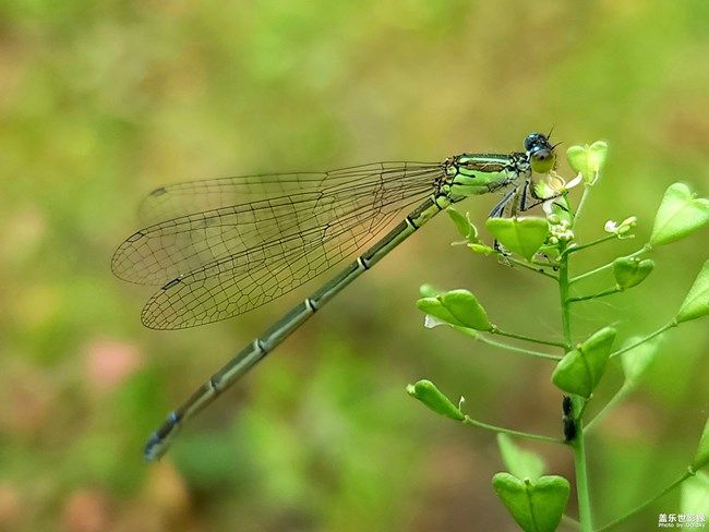 《每周星鮮事》 第105期:520勇敢表達(dá)愛(ài)，心里好禮等你抽取