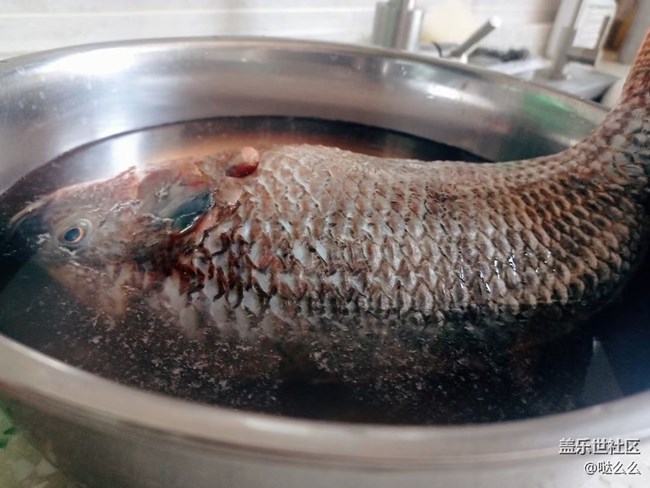 【食糧】一些食物