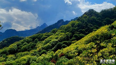 秦嶺頂