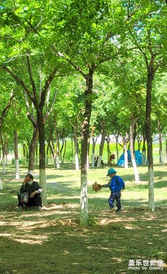 叢林深處