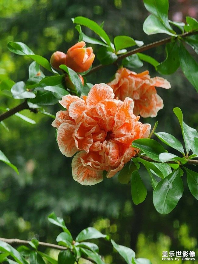 《每周星鮮事》:狂歡618 特惠搶先購