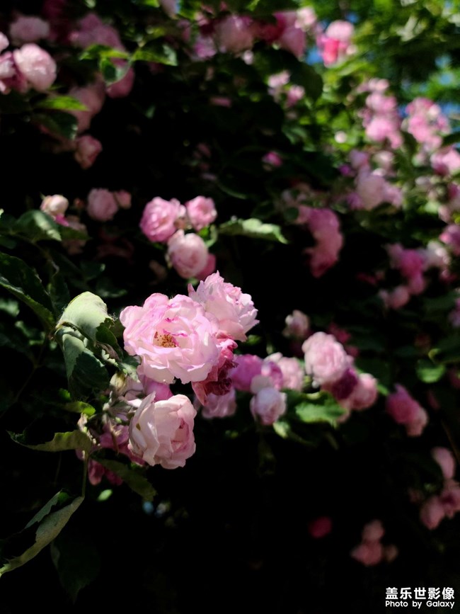 《每周星鮮事》:狂歡618 特惠搶先購