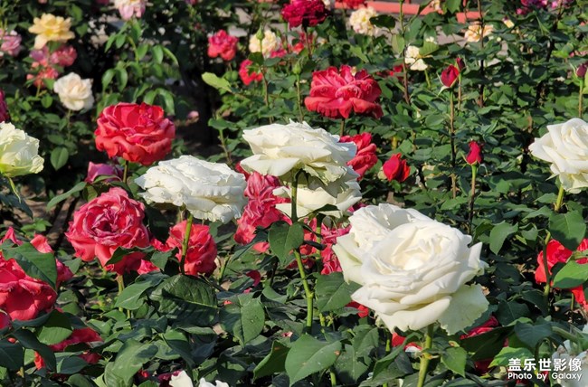 《每周星鮮事》:狂歡618 特惠搶先購