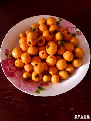 【當(dāng)下好時(shí)光】周末愉快的時(shí)光