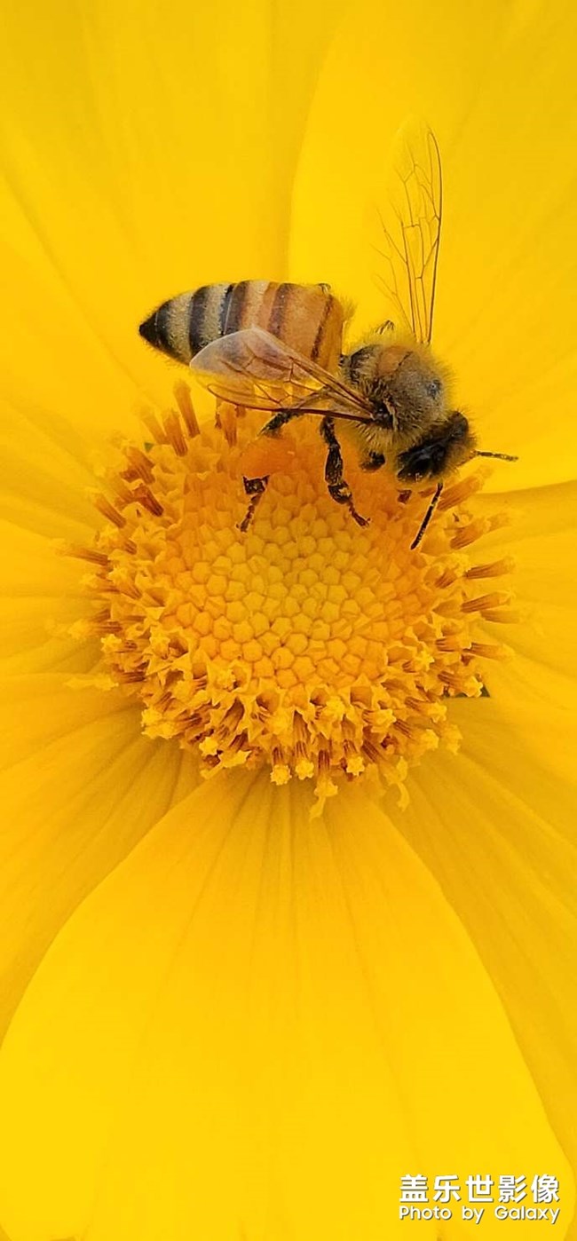 《每周星鮮事》:狂歡618 特惠搶先購