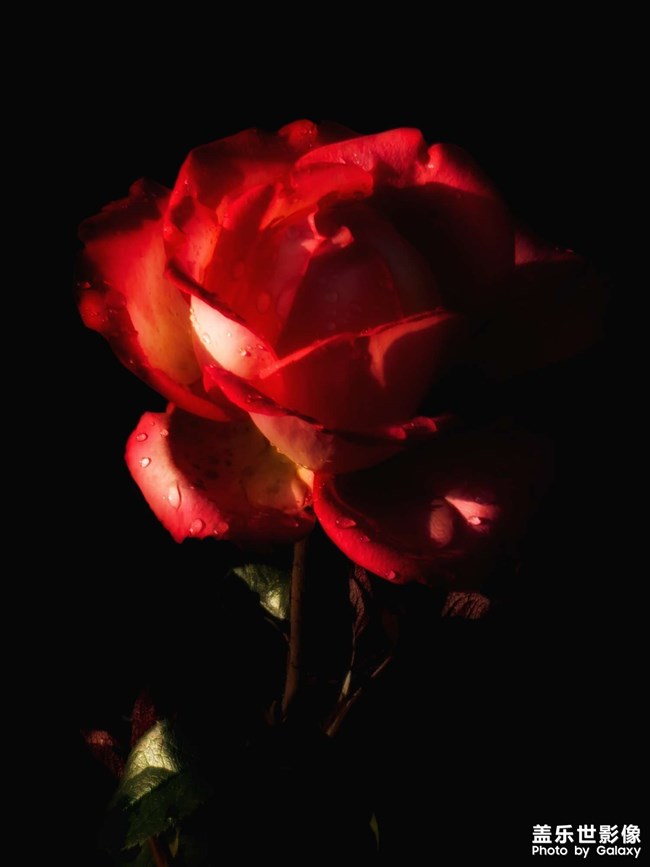 《每周星鮮事》:狂歡618 特惠搶先購