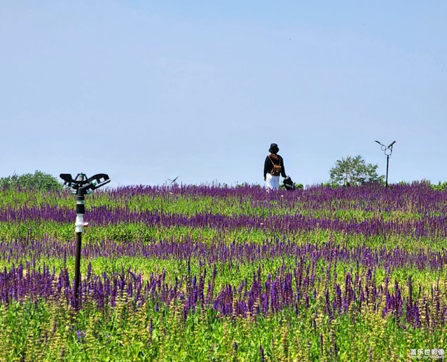 《每周星鮮事》:狂歡618 特惠搶先購