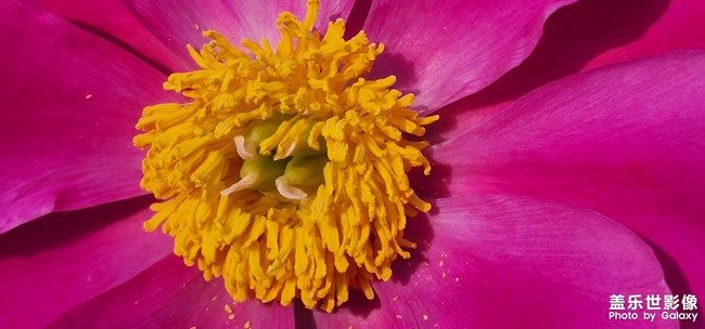 《每周星鮮事》:狂歡618 特惠搶先購