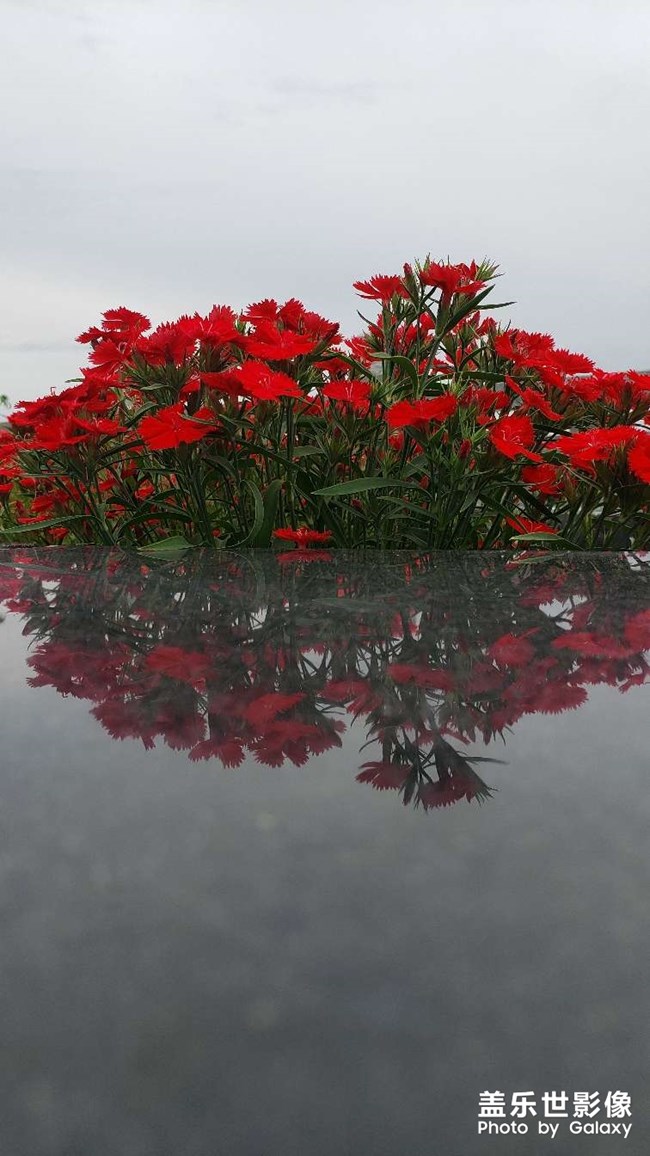 《每周星鮮事》:狂歡618 特惠搶先購