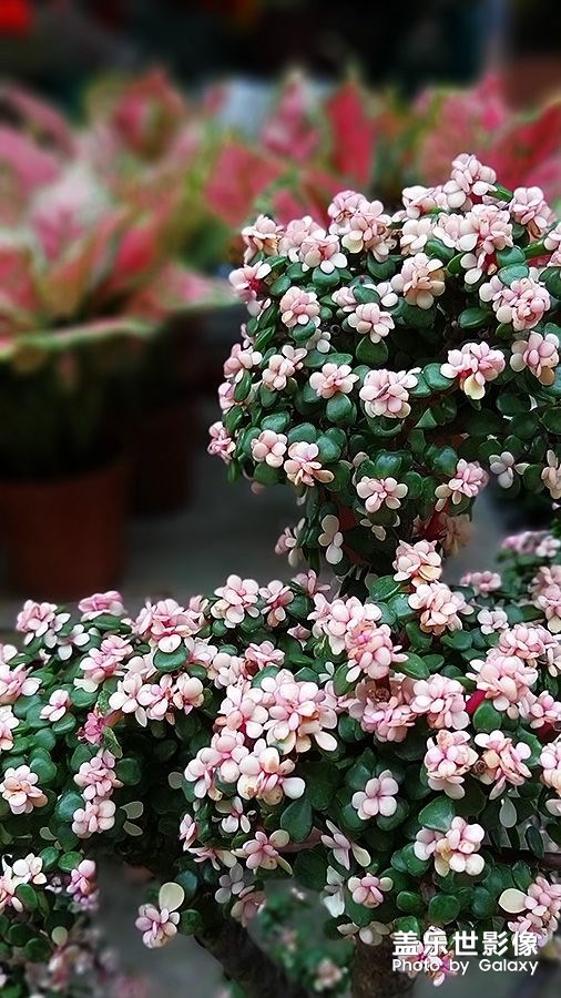 《每周星鮮事》:狂歡618 特惠搶先購