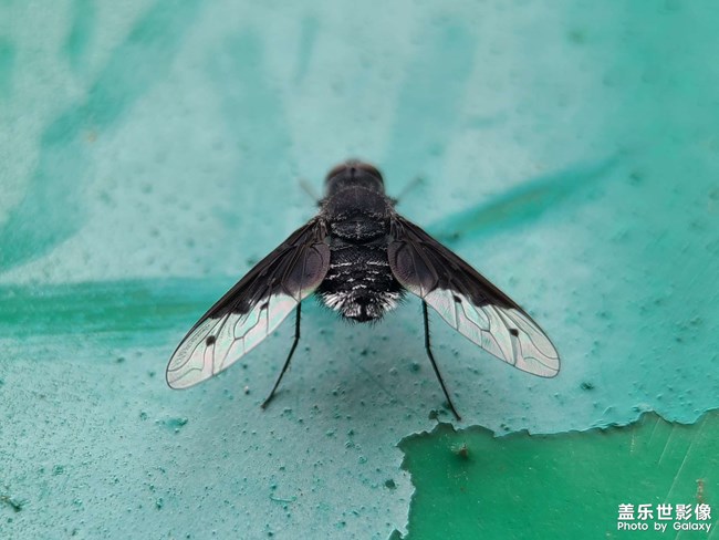 《每周星鮮事》:狂歡618 特惠搶先購