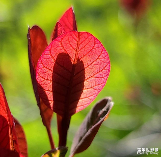 《每周星鮮事》:狂歡618 特惠搶先購