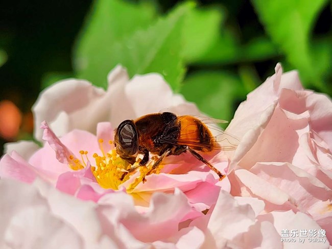 《每周星鮮事》:狂歡618 特惠搶先購