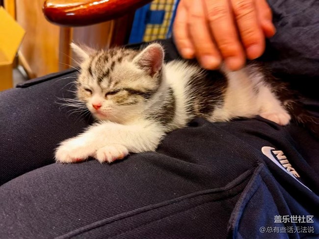 【食糧】+ 擼貓