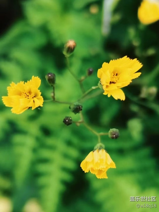 【端午生活隨手拍】