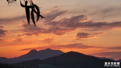 討論哪個是相機拍的哪個是手機拍的