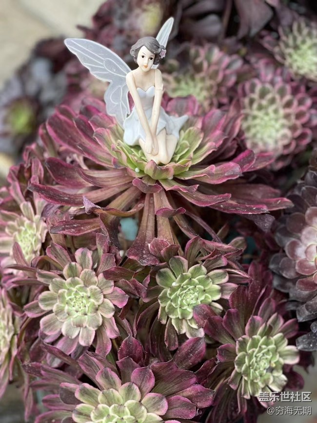 【端午生活隨手拍】