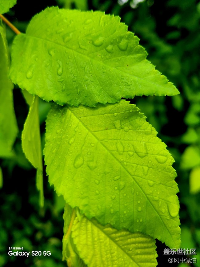 【呼喚夏日】+城市的一抹風光