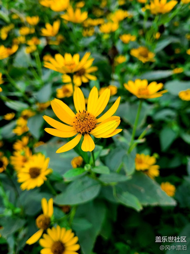 【呼喚夏日】+城市的一抹風光