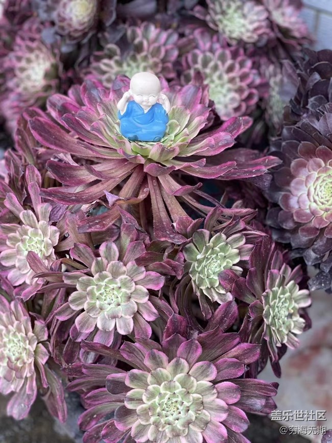 【端午生活隨手拍】