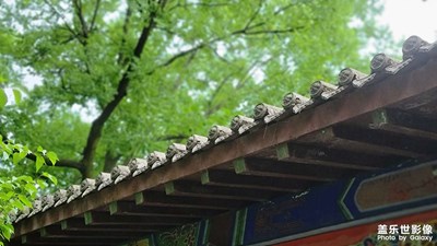 清風(fēng)竹影