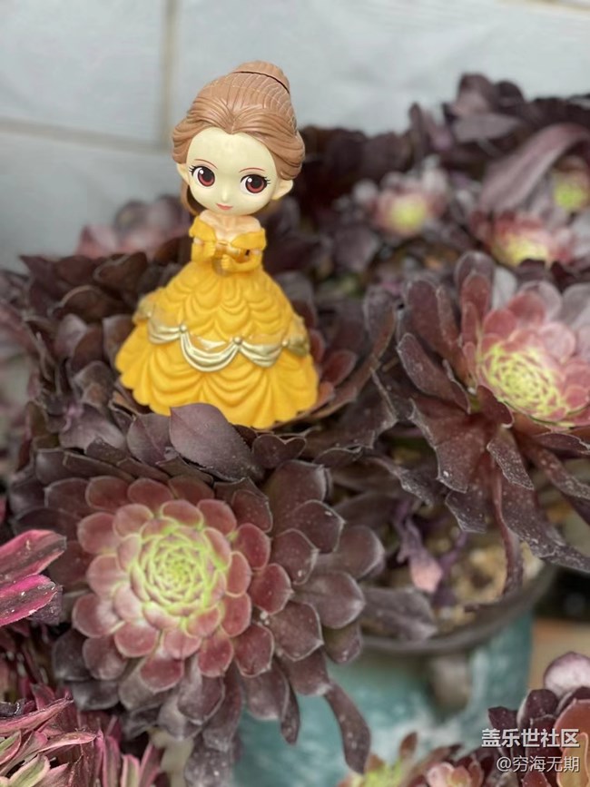 【端午生活隨手拍】