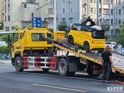 日常隨手拍