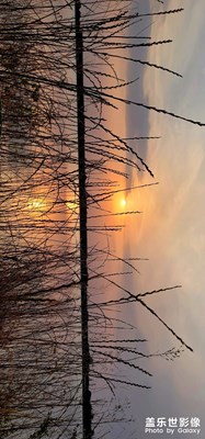 夕陽無限好