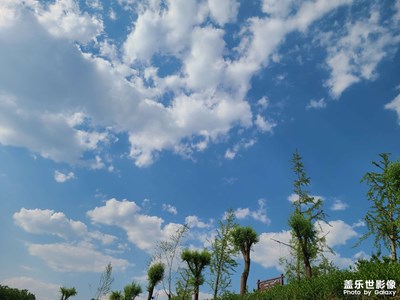 不知不覺(jué)夏天到了