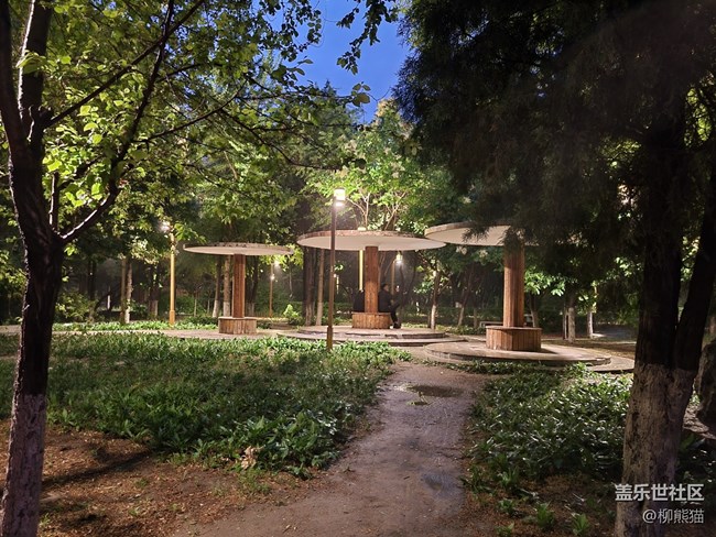 【呼喚夏日】雨天夜晚的綠植