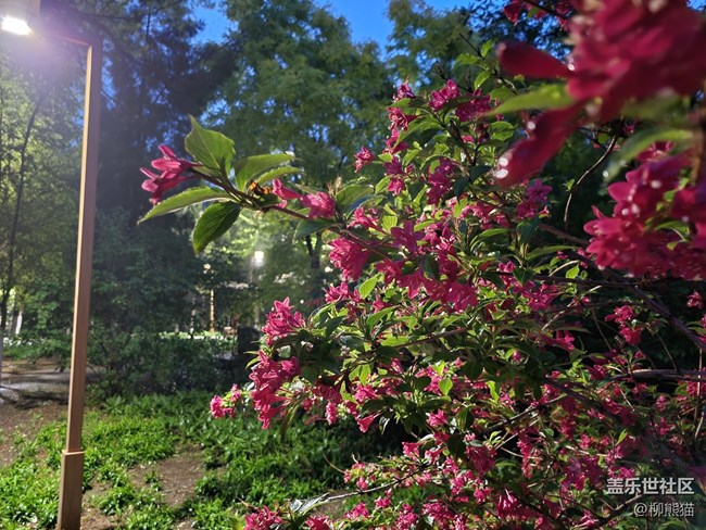【呼喚夏日】雨天夜晚的綠植