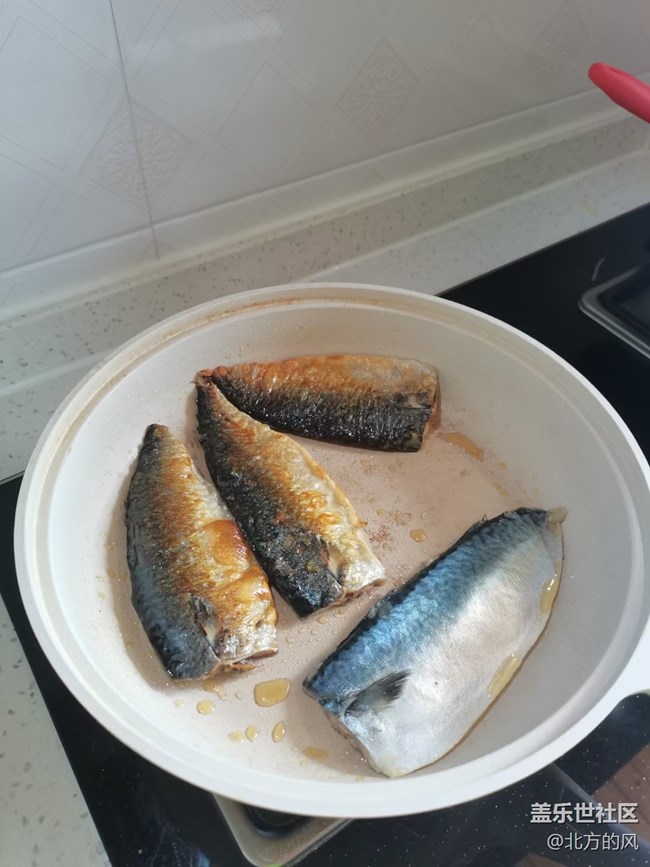 端午生活隨手拍