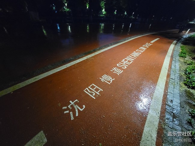 【呼喚夏日】雨天夜晚的綠植