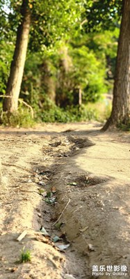 路