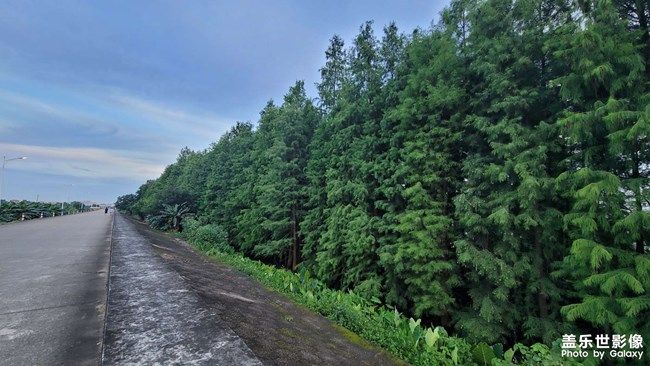 《每周星鮮事》 第107期: