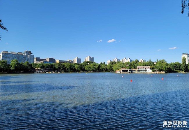 《每周星鮮事》 第107期: