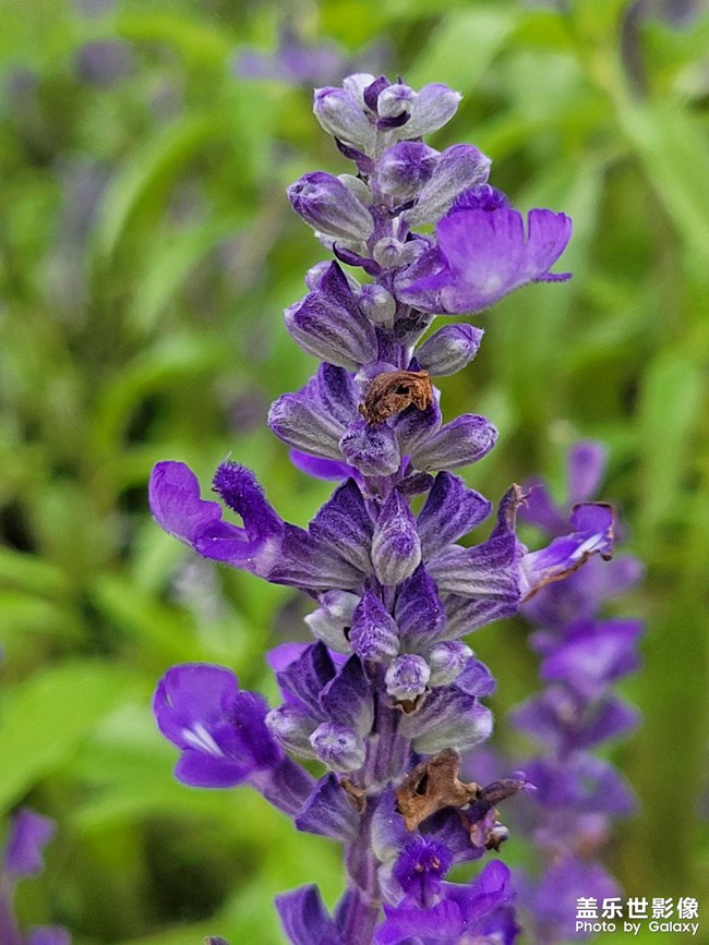 《每周星鮮事》 第107期:分享記錄你的端午生活