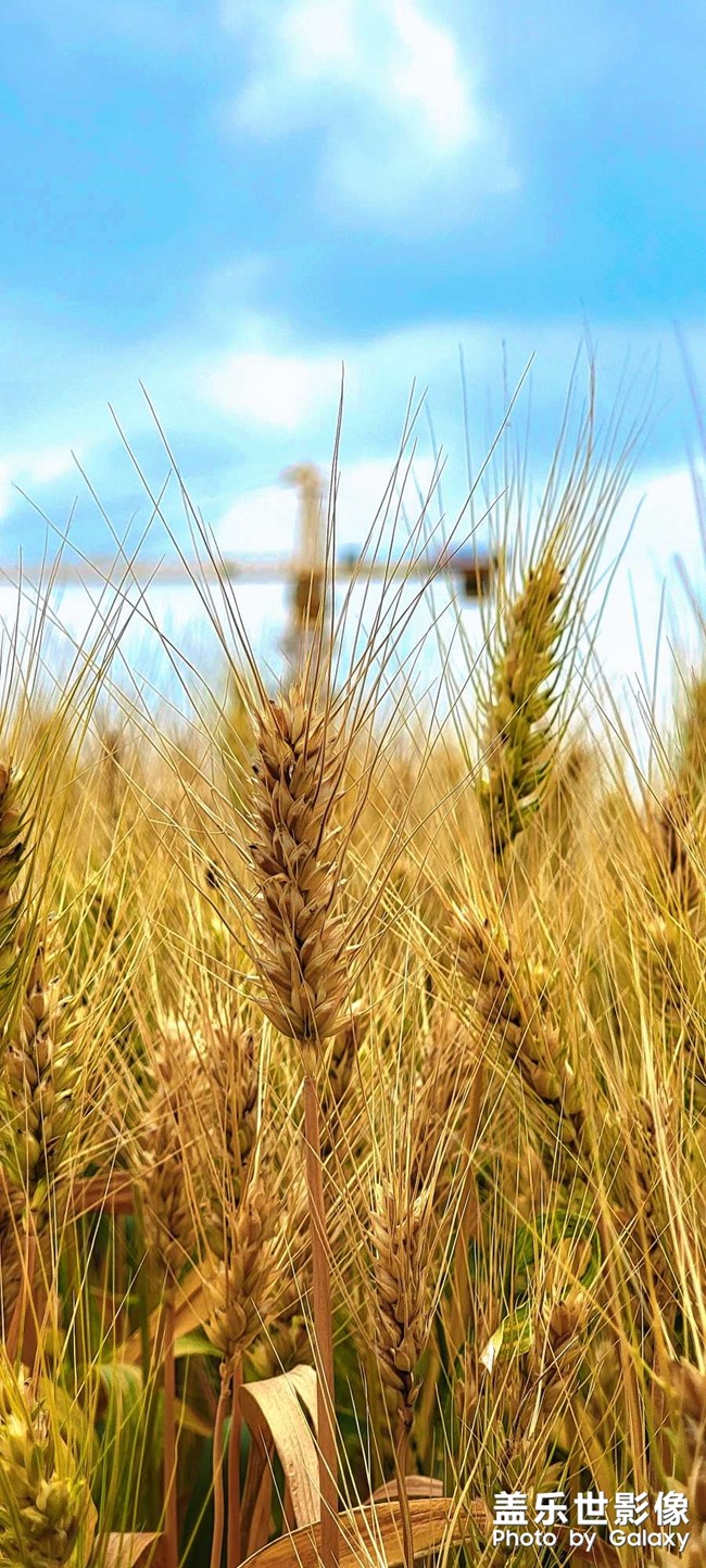 《每周星鮮事》 第107期: