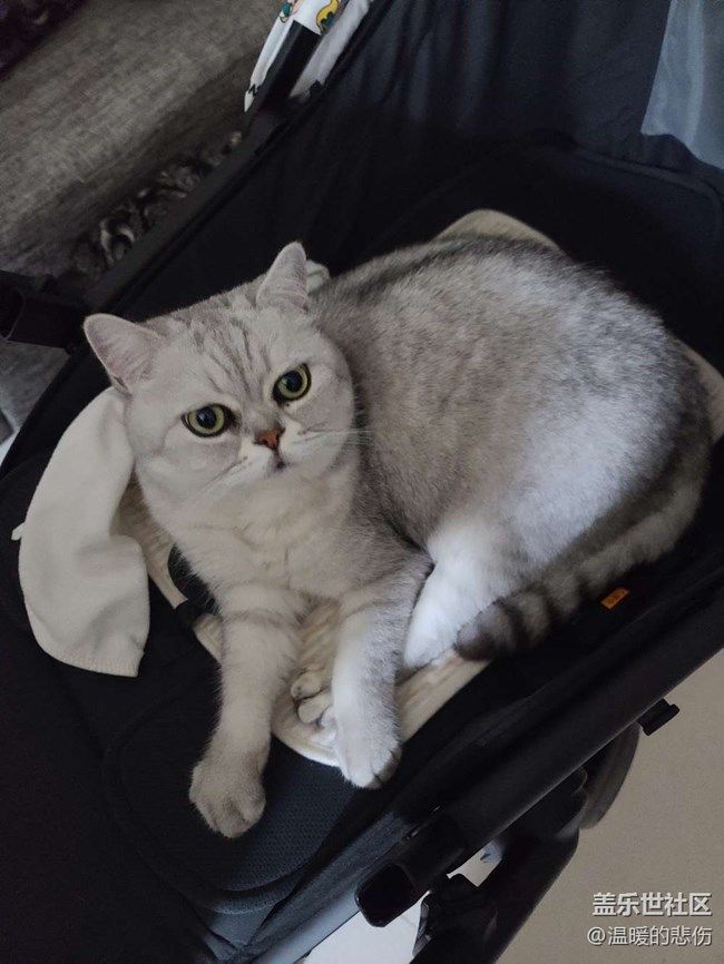 《每周星鮮事》 第107期:分享記錄你的端午生活